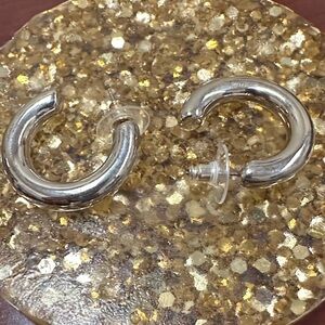 Elegant Silver Hoop Earrings